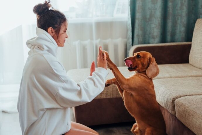 Easy Tricks Any Dog Can Learn in a Week
