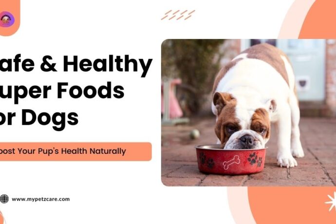 Super Foods for Dogs