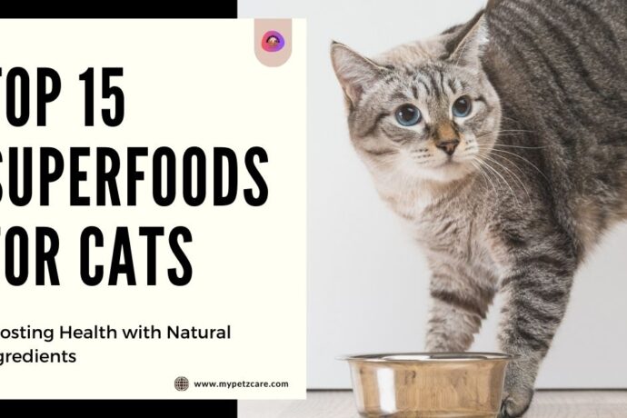 Superfoods for Cats