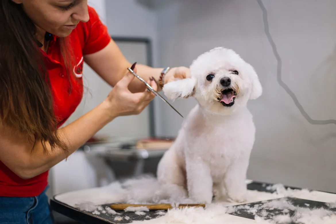 10 Easy Grooming Hacks for Dogs at Home Keep Your Pup Fresh, Clean, and Happy