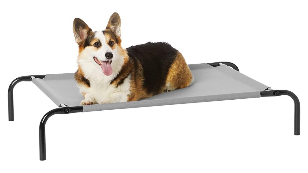 AmazonBasics Elevated Cooling Pet Bed