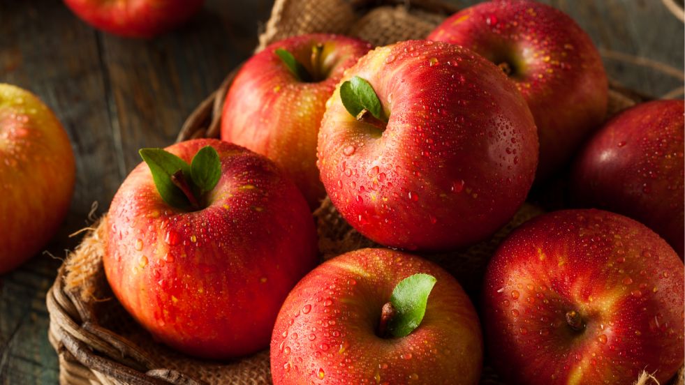 Apples