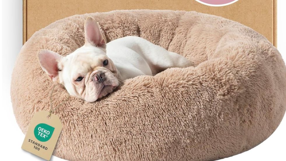 Bedsure Calming Dog Bed Medium Size Dog