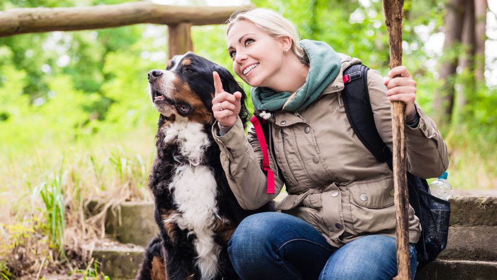 Best Spots to Hike With Your Dog