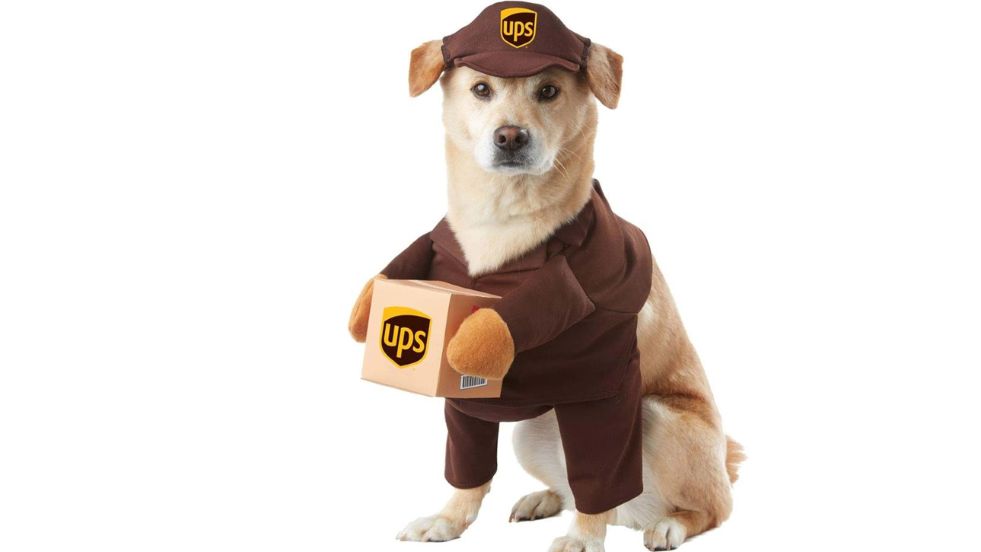 California Costumes UPS Delivery Dog Costume
