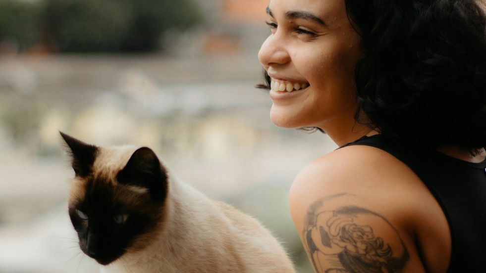 Cat-Friendly Vacation Destinations
