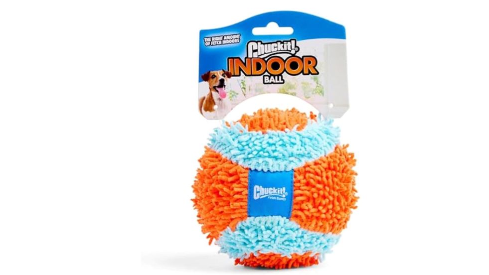 Chuckit! Indoor Fetch Ball Dog Toy for Dogs