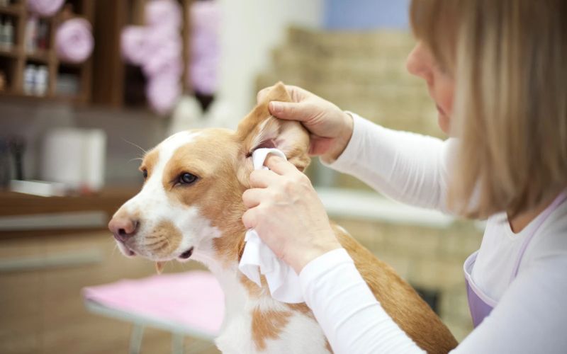 Clean Ears the Right Way