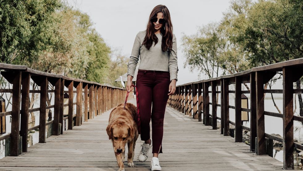 Dog Walking Tips Every Owner Should Know for Safe
