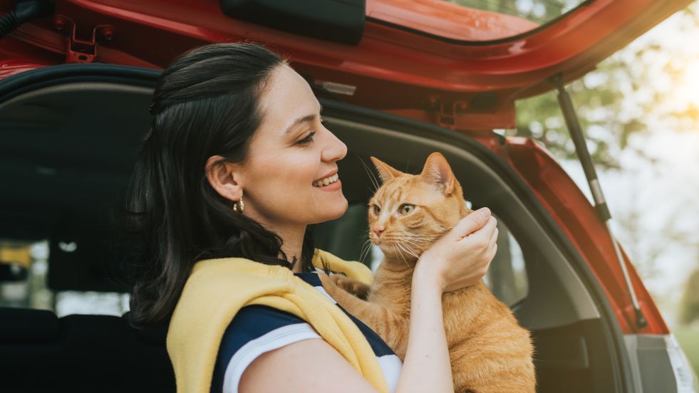 Essential Tips for a Calm and Comfortable Trip with Your Cat

