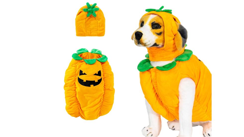 Frisco Pumpkin Dog Costume