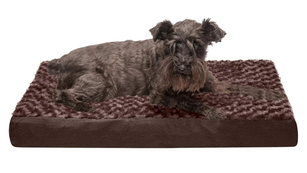 Furhaven Memory Foam Dog Bed for Medium/Small Dogs