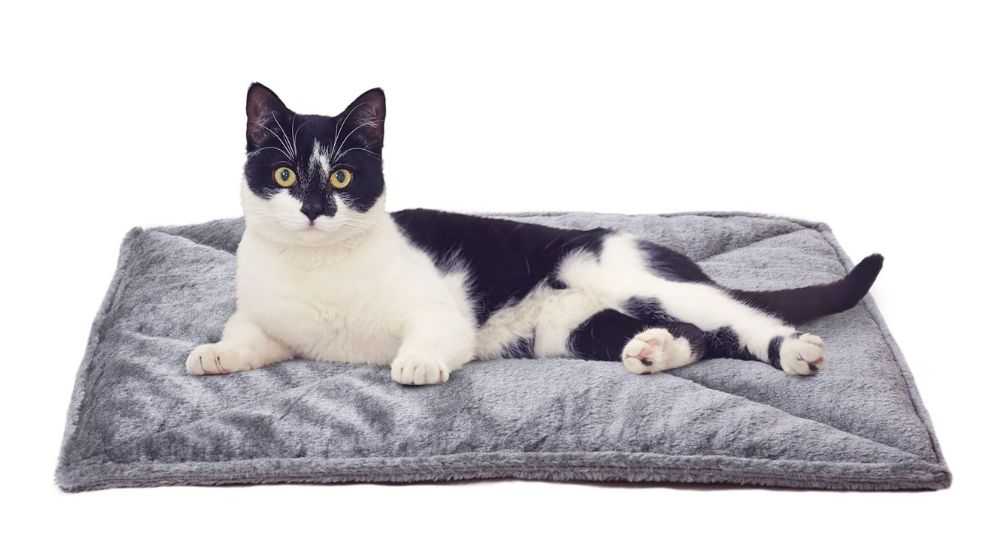 Furhaven ThermaNAP Self-Warming Cat Bed for Indoor Cats
