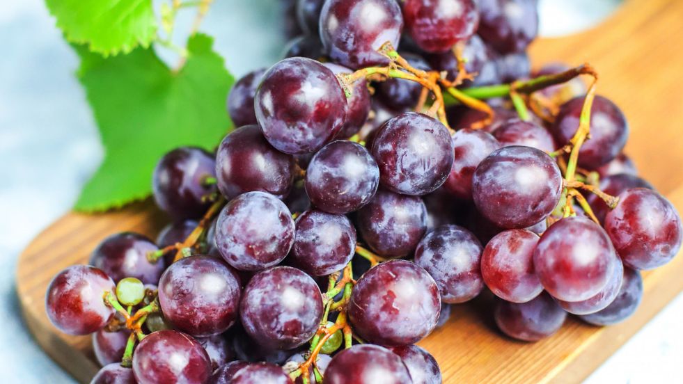 Grapes and Raisins