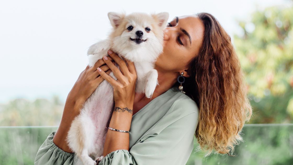 Heartwarming Reasons Why Dogs Are Truly the Best Friends Ever