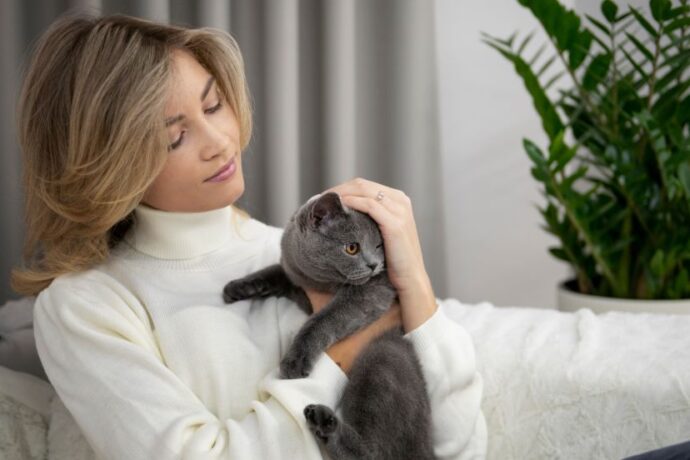 How to Tell if Your Cat is Sick