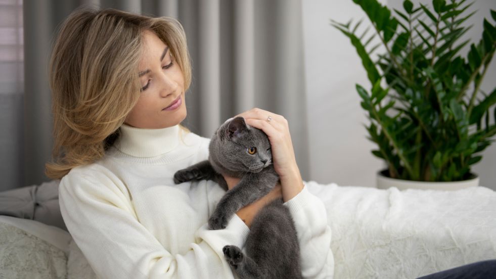How to Tell if Your Cat is Sick