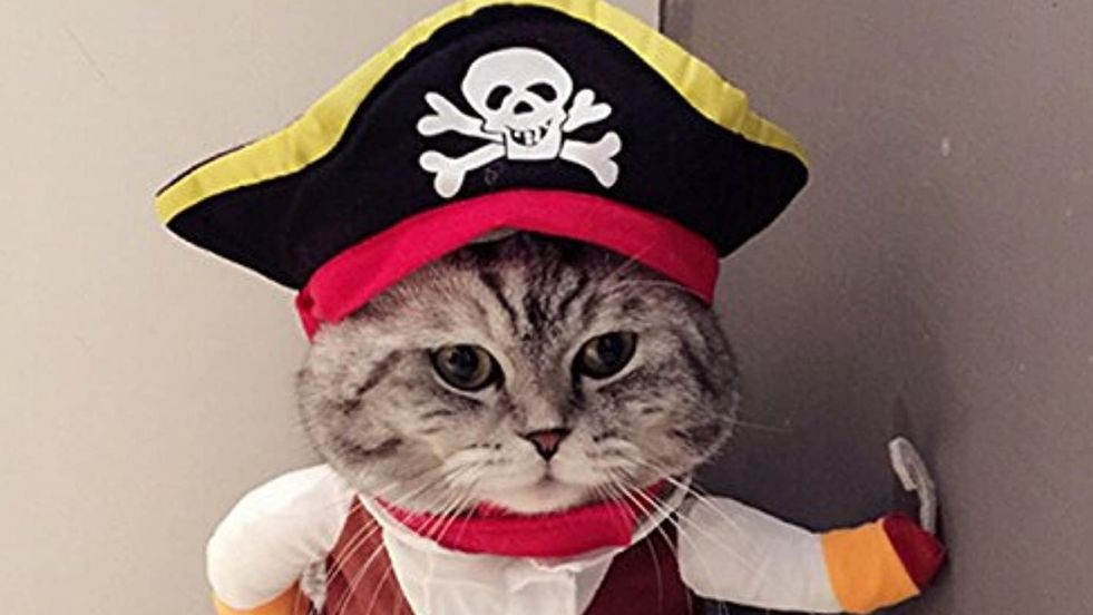 Idepet Pirate Dog Costume