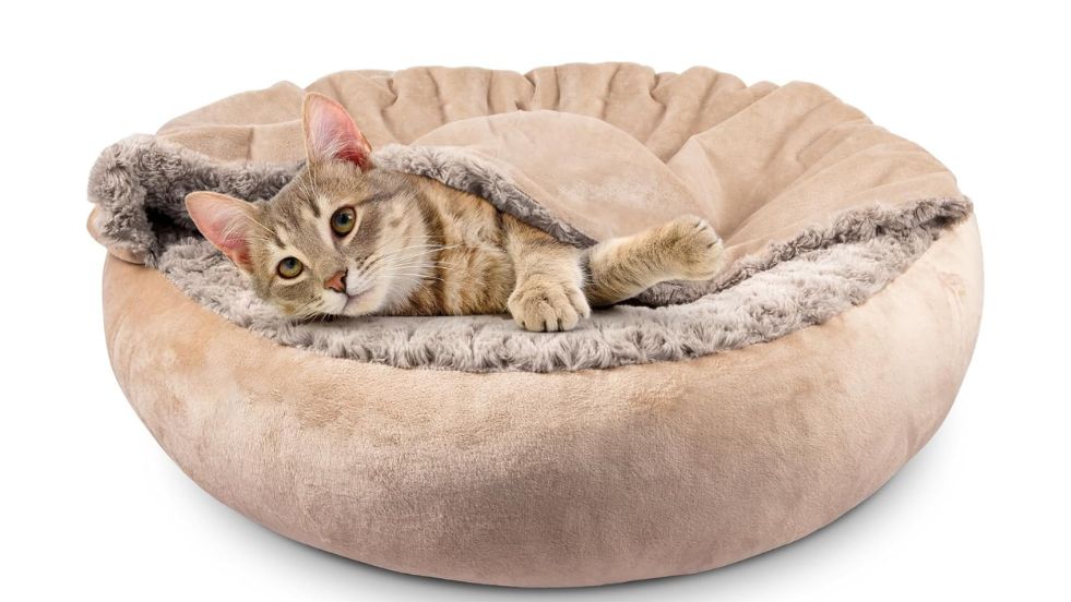 JOEJOY Small Cat Bed With Hooded Blanket