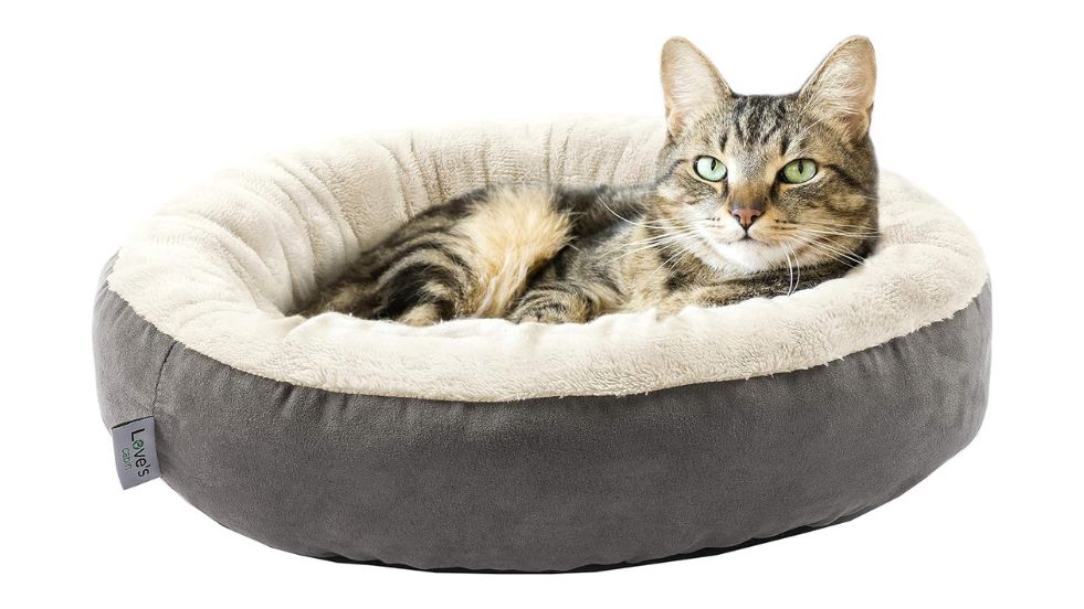 Love's Cabin Round Donut Cat Cushion Bed