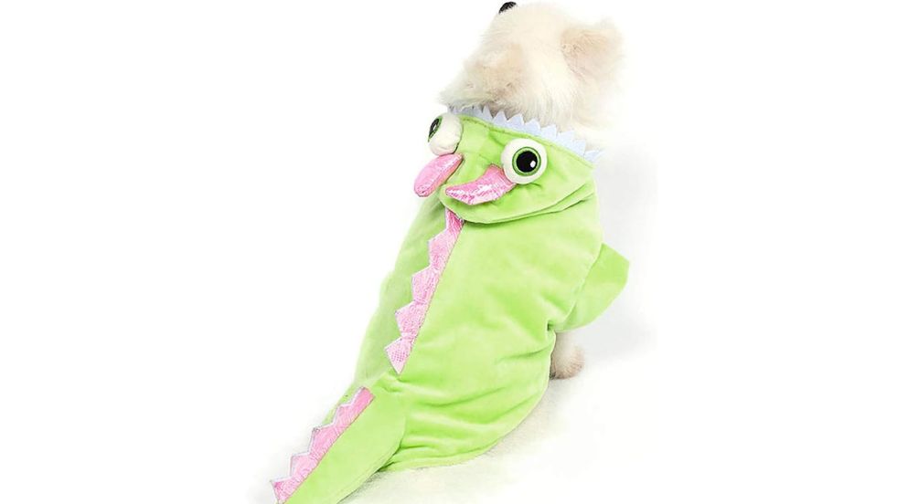 Mogoko Dinosaur Dog Costume