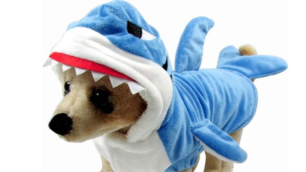 Mogoko Shark Cat Hoodie