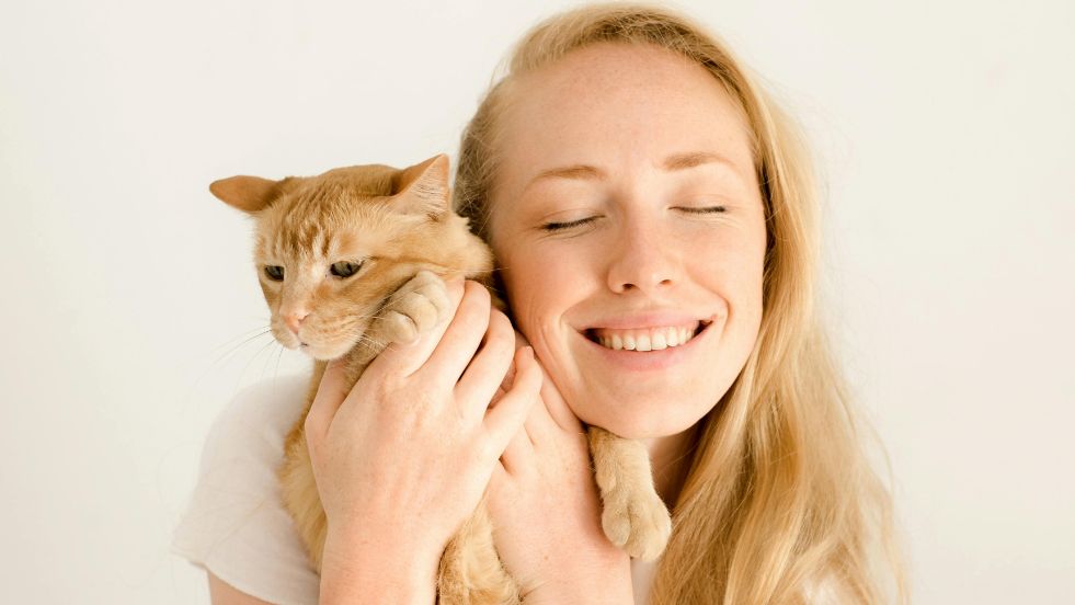 Most Affectionate Cat Breeds That Love Cuddles