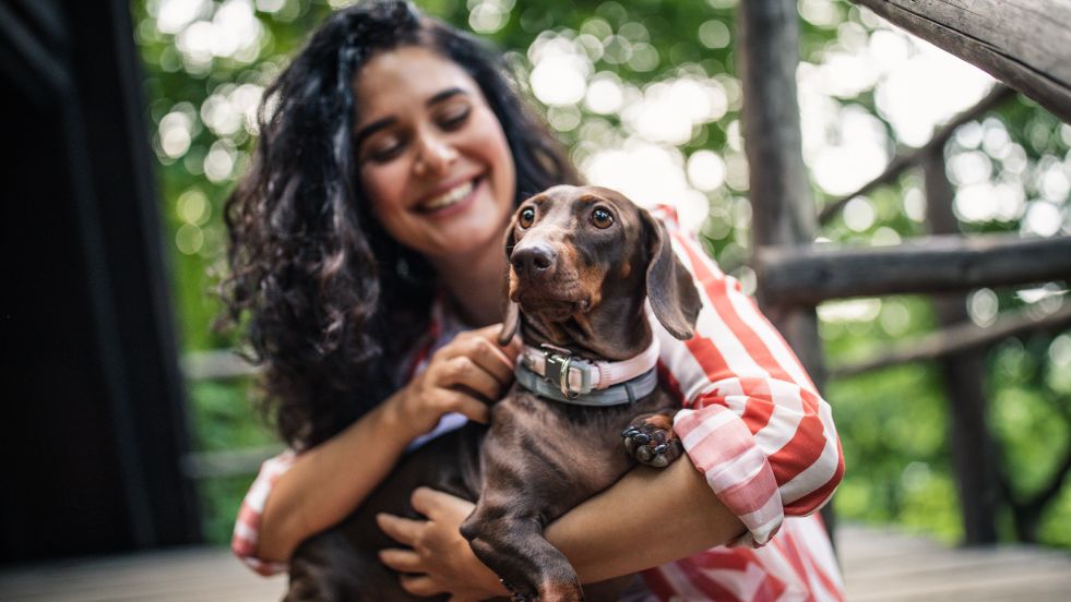 Most Loyal Dog Breeds You’ll Ever Meet