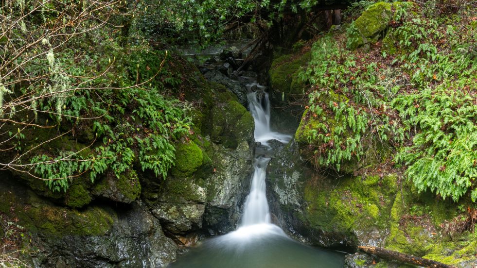 Mount Tamalpais State Park, California