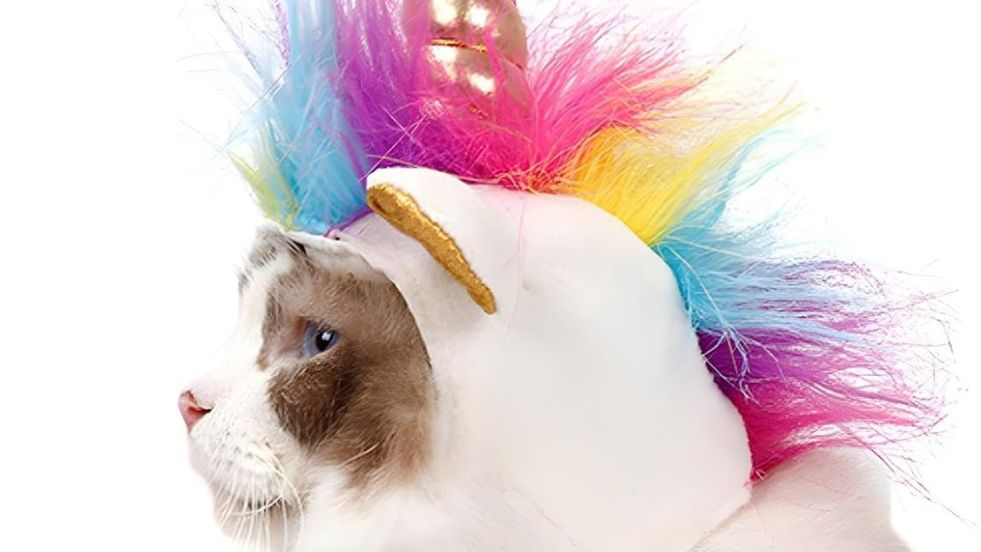NACOCO Cat Unicorn Hat with Ear Hole