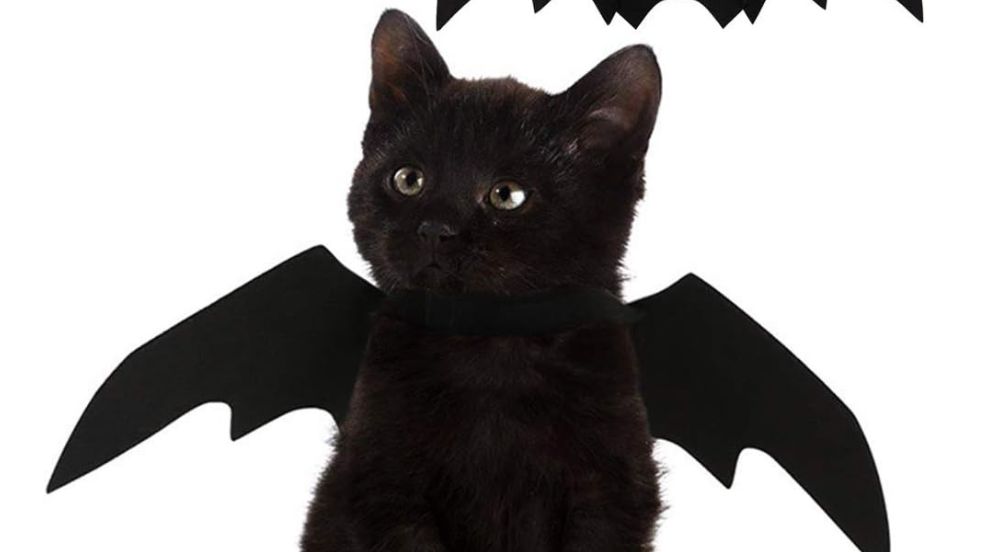 Pet Krewe Bat Wings Costume