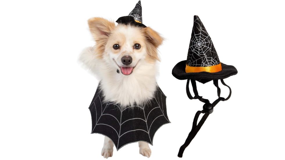 Pet Krewe Chef Cat Costume