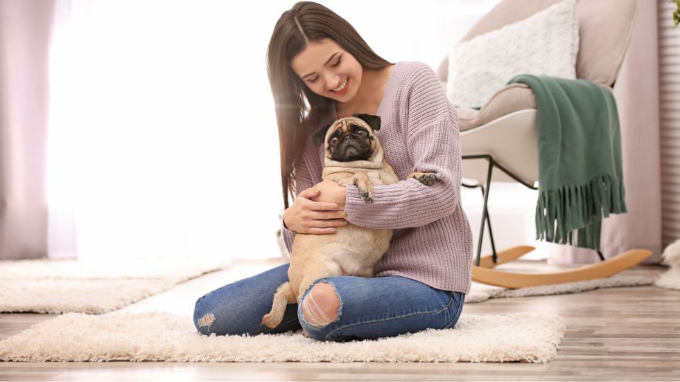 Pinterest-Perfect Aesthetic Dog Names You'll Love