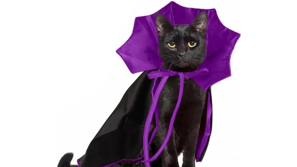 Qiansail Cat Cape Vampire Cloak