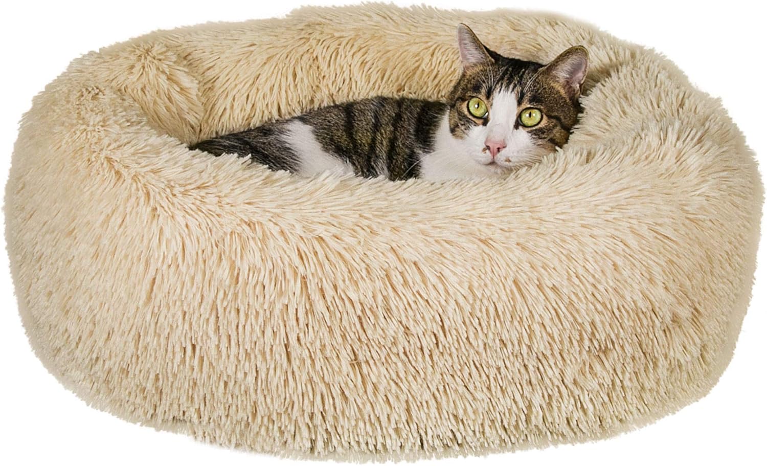 Qucey Calming Cat Bed