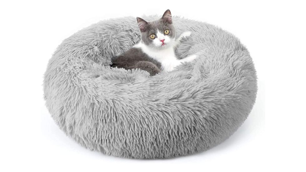 Rabbitgoo Cat Beds for Indoor Cats