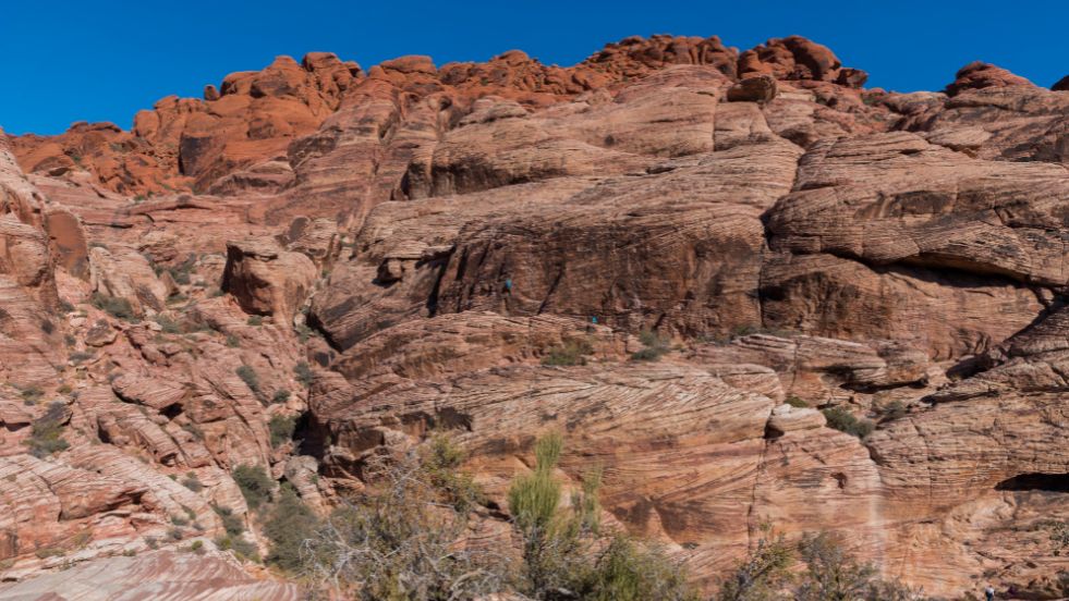 Red Rock Canyon National Conservation Area, Nevada