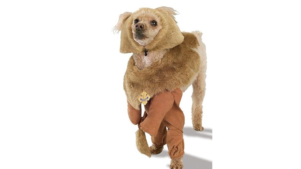 Rubie’s Pet Wizard Costume