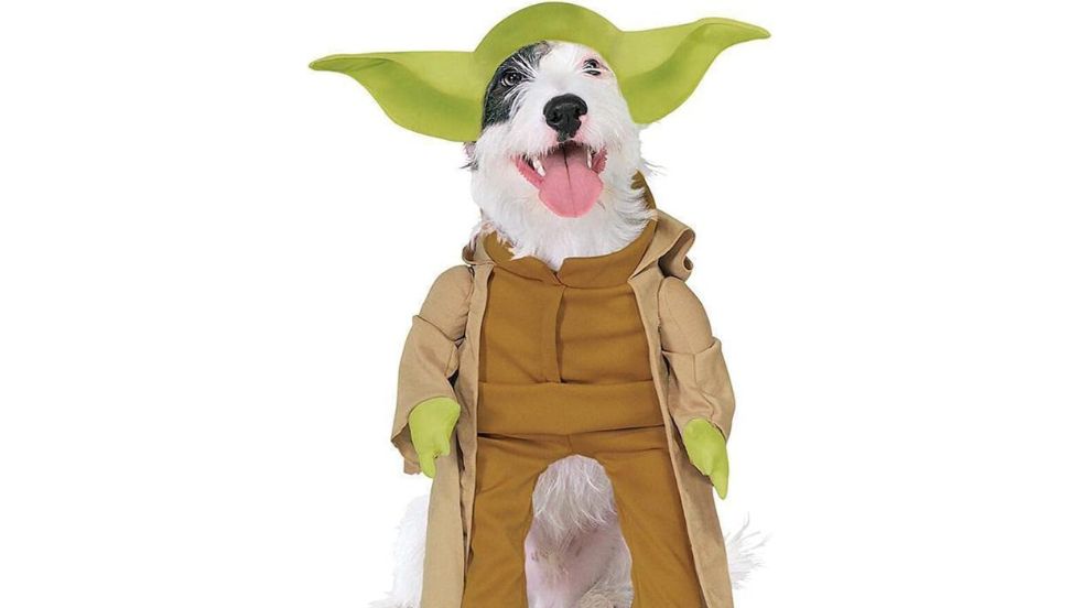 Rubie’s Star Wars Yoda Dog Costume