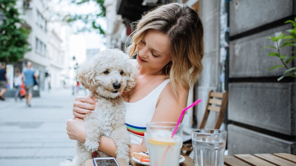 Silly Dog Names That Will Make You Smile