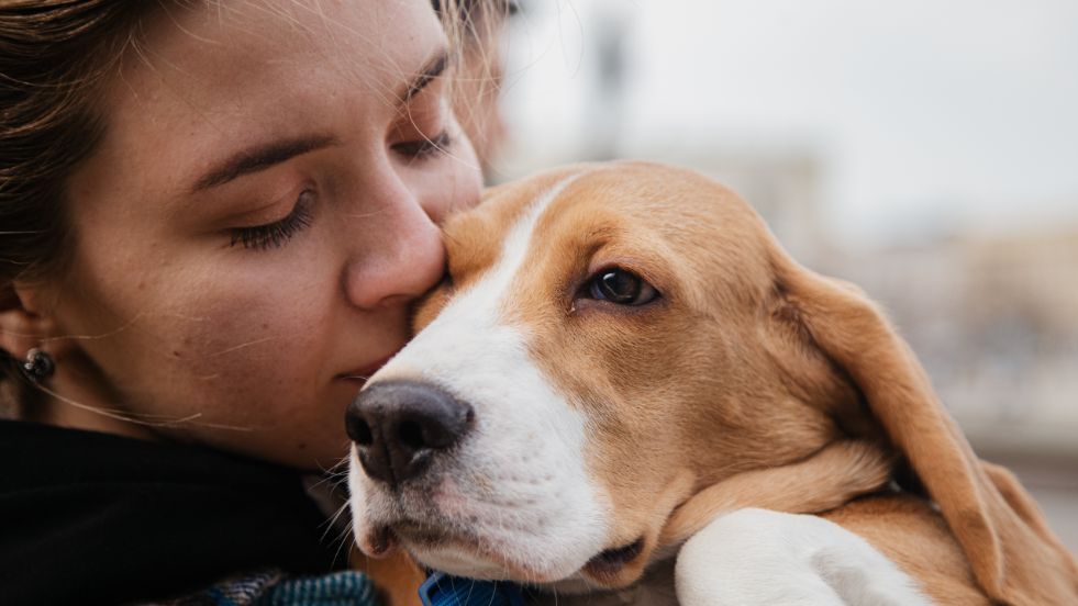 The Emotional Benefits of Owning a Dog