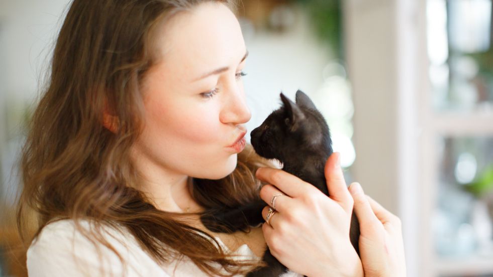 Unique Cat Names You’ve Probably Never Heard Before