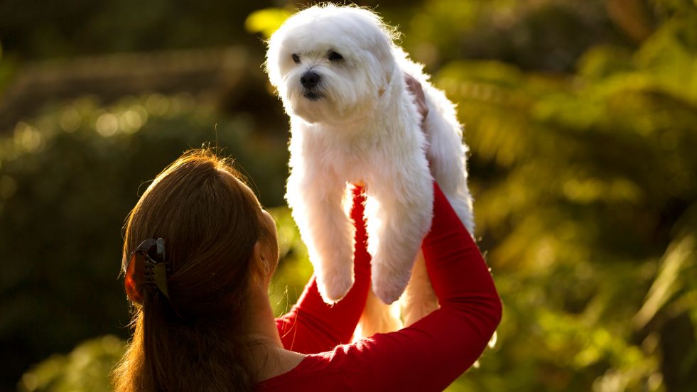 Unique Dog Names You’ve Probably Never Heard Before