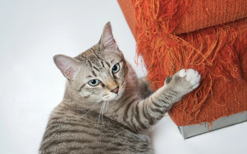Use Double-Sided Tape to Stop Furniture Scratching