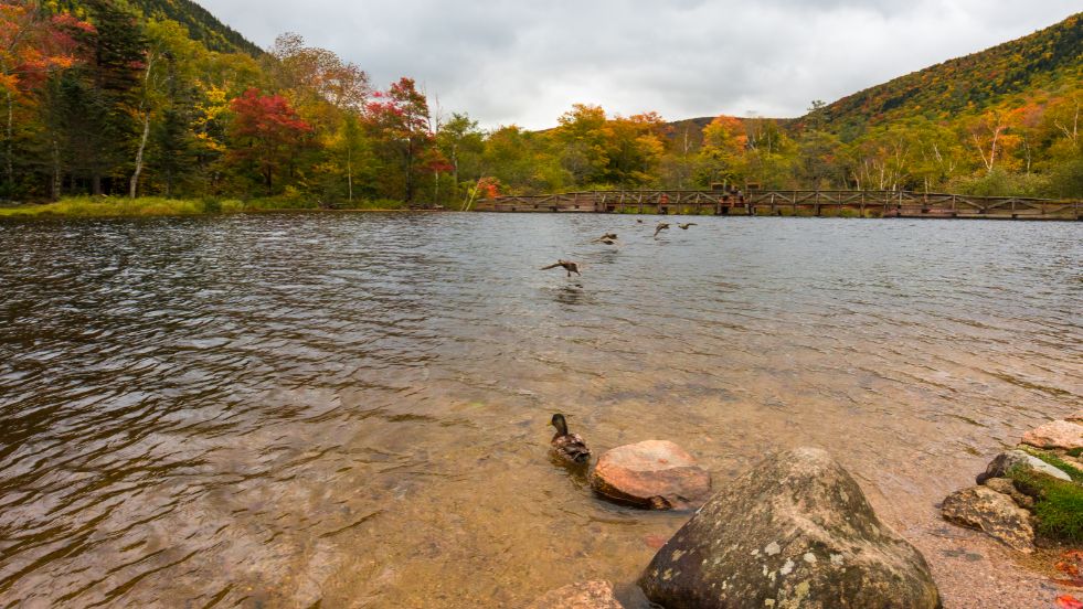 White Mountain National Forest, New Hampshire