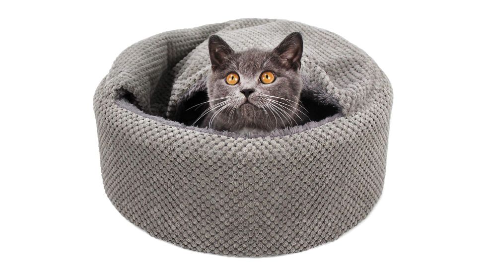 Winsterch Washable Cat Bed - Round Soft, Cozy & Warming for Indoor Cats
