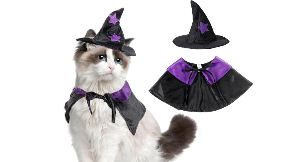 Witch Hat and Cape Set