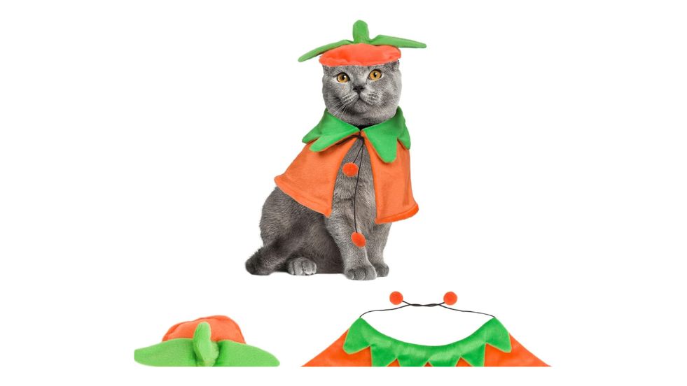 ADOGGYGO Halloween Cat Costumes