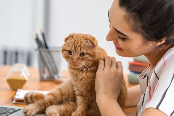 cat names