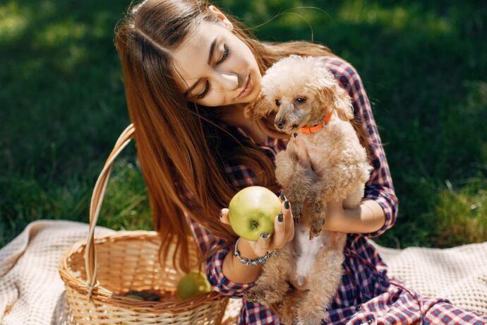 What Fruits Can Dogs Eat